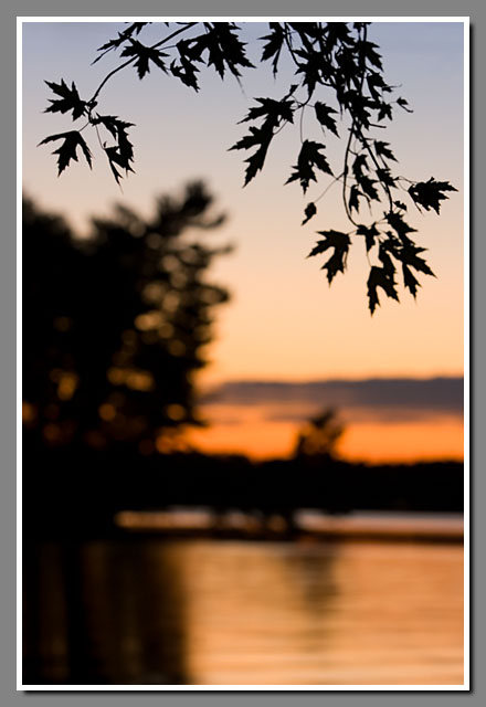 Bukolt Park, Stevens Point, Wisconsin