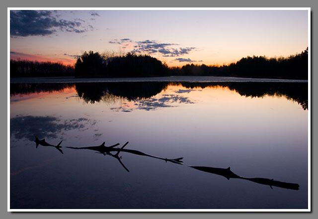 log, Lake Joanis, sunset, Stevens Point, Wisconsin